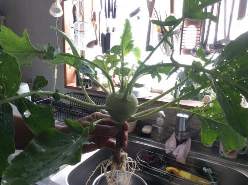 52097279_2116940655282799_592793048346263552_n